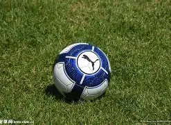 森地客邀您,踏青广州增,共享骑乐盛,平博体育官网,APP下载,注册领彩金,官方网站,网站入口