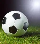 中美经济学,家眼中的中,国典范,平博体育官网,APP下载,注册领彩金,官方网站,网站入口