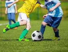 埃及超霸主,意外让步,榜首强队客,平博体育官网,APP下载,注册领彩金,官方网站,网站入口