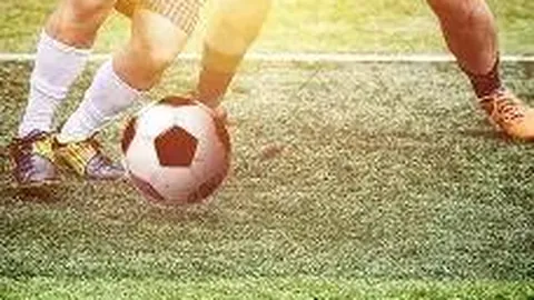 平博体育 产品 234149 fkx