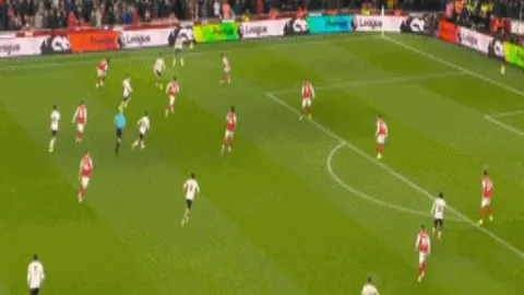 暑期学生游泳比赛再创佳绩！